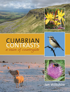 Cumbrian Contrasts ​A vision of countryside ​