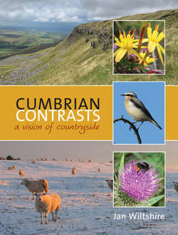 Cumbrian Contrasts, ​A vision of countryside