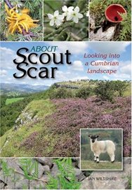 About Scout Scar: Looking into a Cumbria Landscape